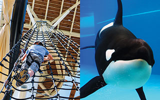 ANNULATION DES COLOS DE PRINTEMPS